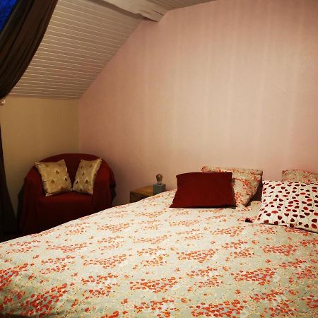Bed and Breakfast Domaine De L'Esperance, Chambre Rose Bersaillin Екстер'єр фото