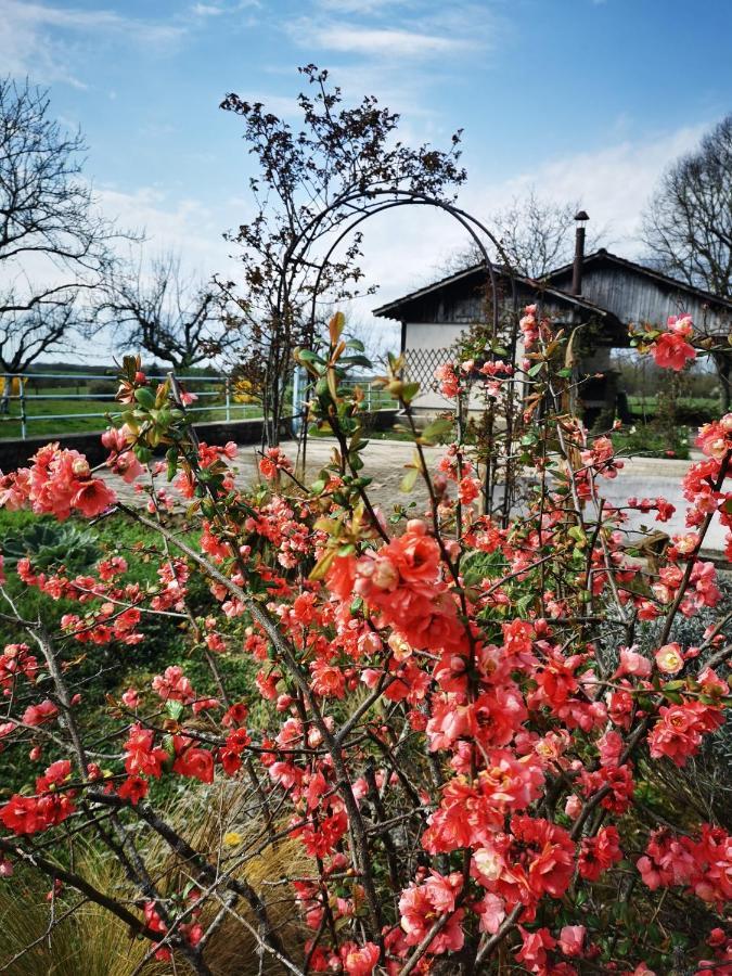 Bed and Breakfast Domaine De L'Esperance, Chambre Rose Bersaillin Екстер'єр фото
